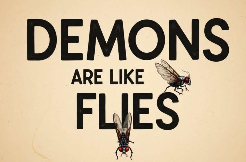  Demons are like Flies 